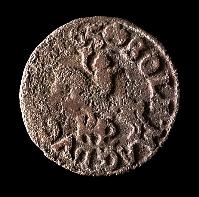 528928784 1323571686443098 6710271178320460856 n