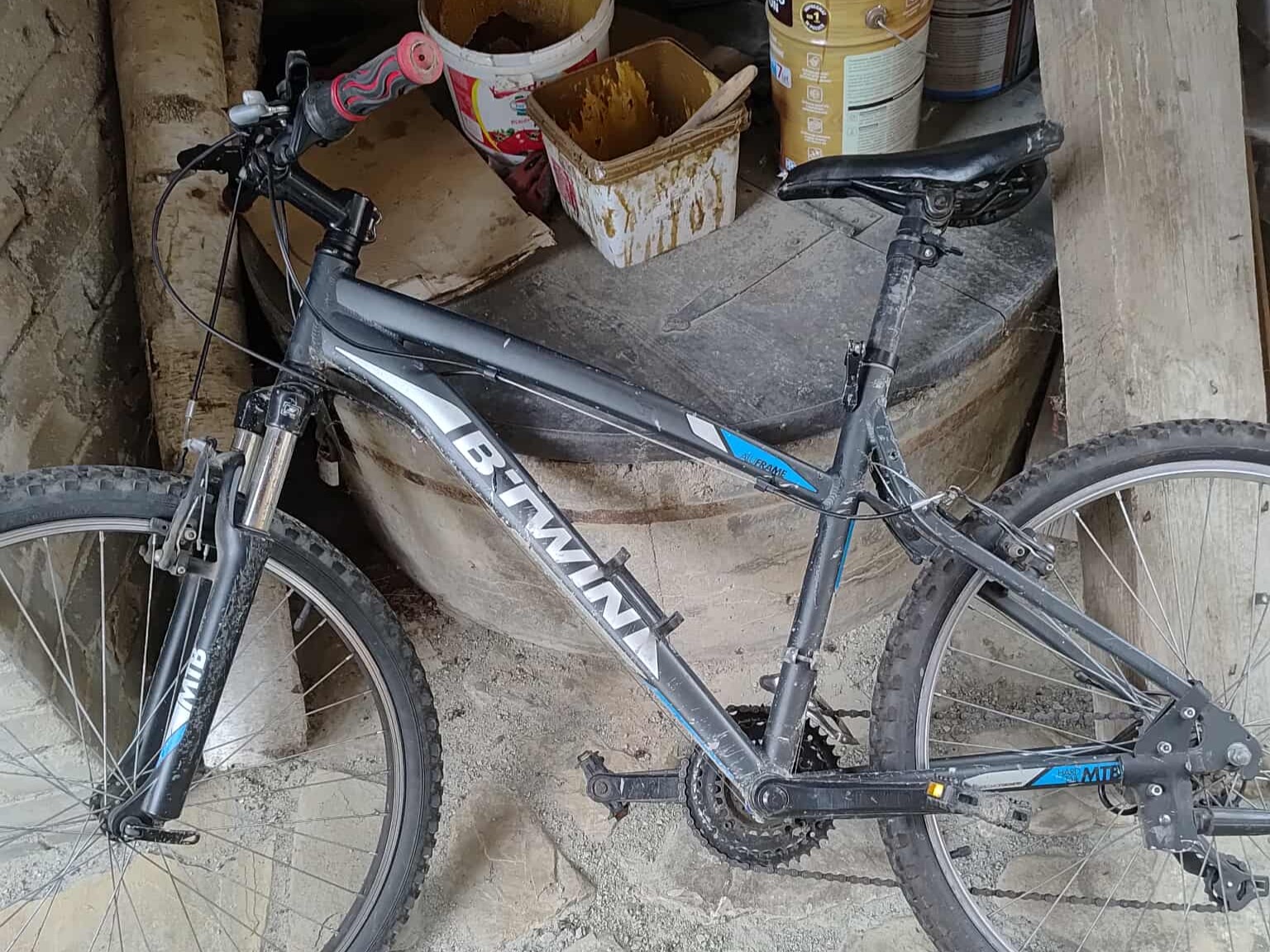 529170926 122147977598800988 6483426686896074765 n