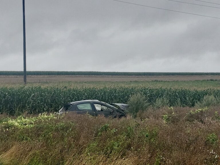 529258704 1064738275813344 7436571416295695280 n