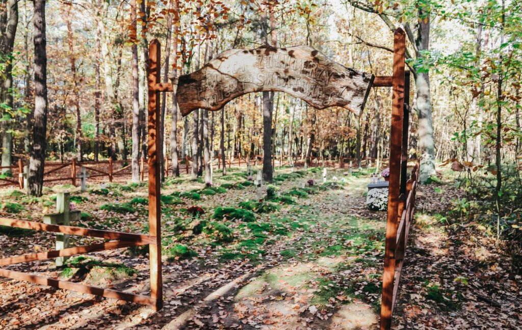 529962716 1146234850871000 6048625107168065263 n