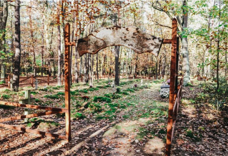 529962716 1146234850871000 6048625107168065263 n