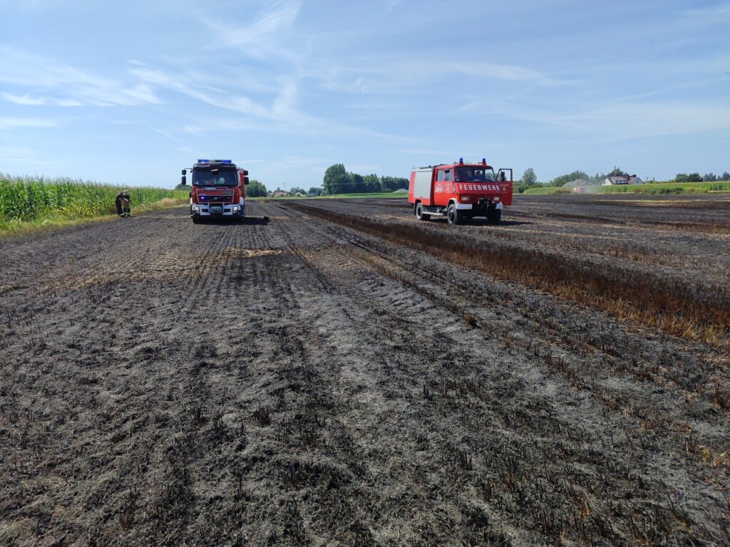 Pożar ścierniska w Wylewie. Pięć zastępów straży w akcji 1 530274645 1138822808294969 51148782798110821 n
