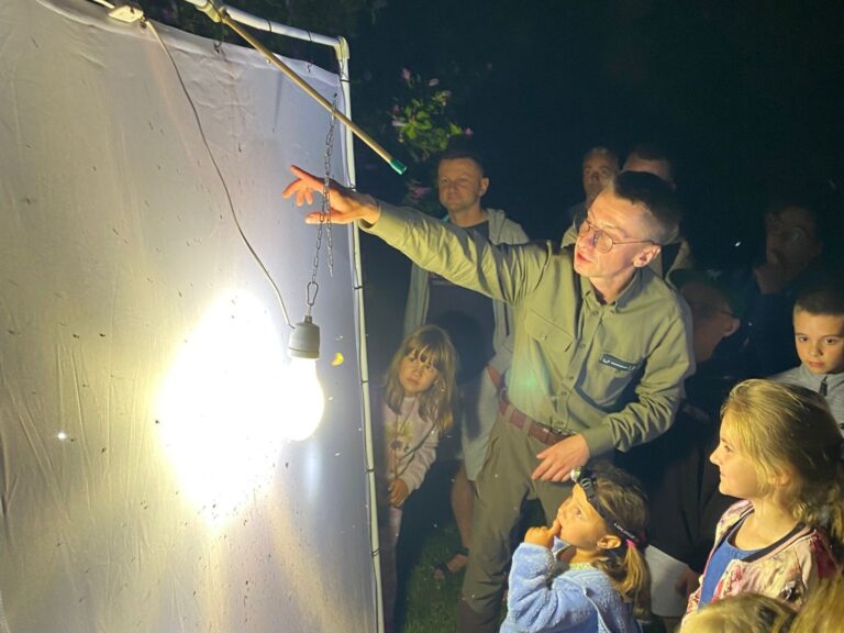 530636972 1147223880772468 4396787458419952146 n1