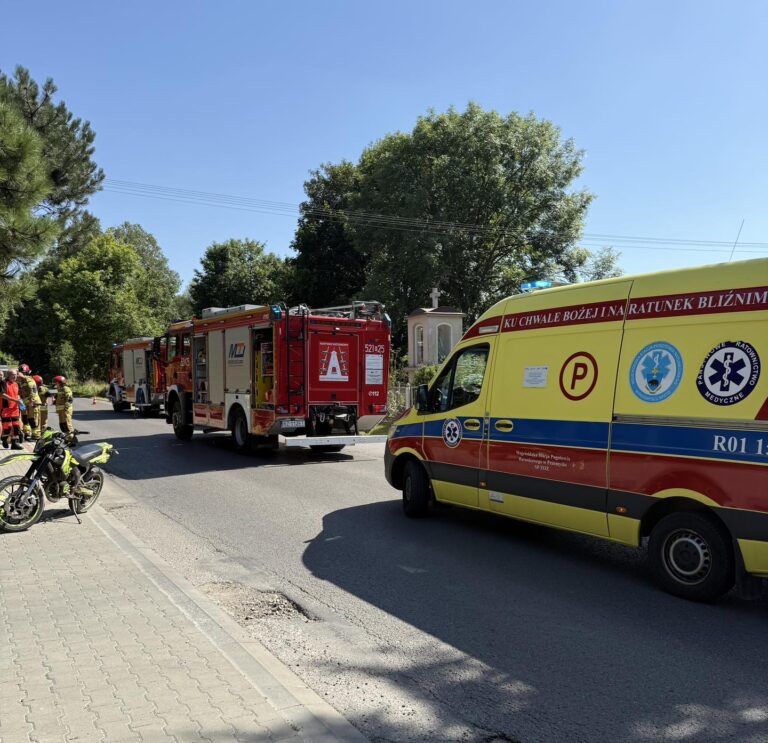 532045808 1069506982003140 5549539563872540667 n