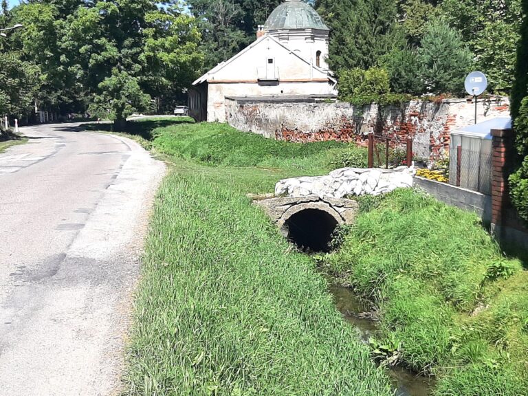 532147357 1134909025120614 7077157257102026132 n