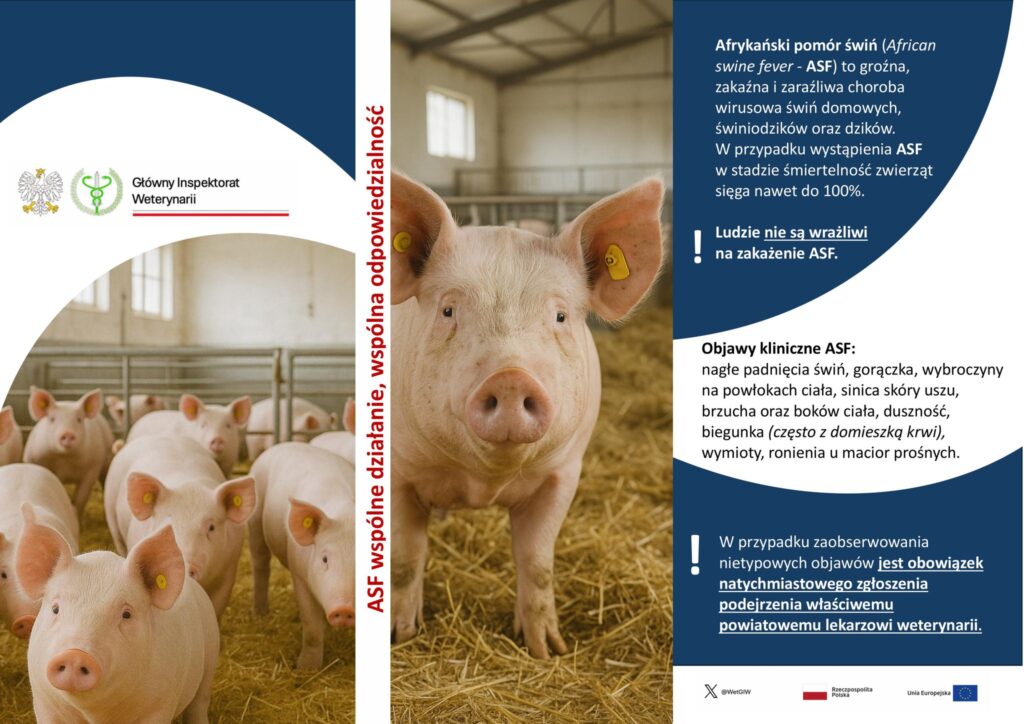 ASF tuż przy granicy Podkarpacia. Weterynaria apeluje o wzmożoną ostrożność 1 532227600 1147988720710629 1913625488804352798 n