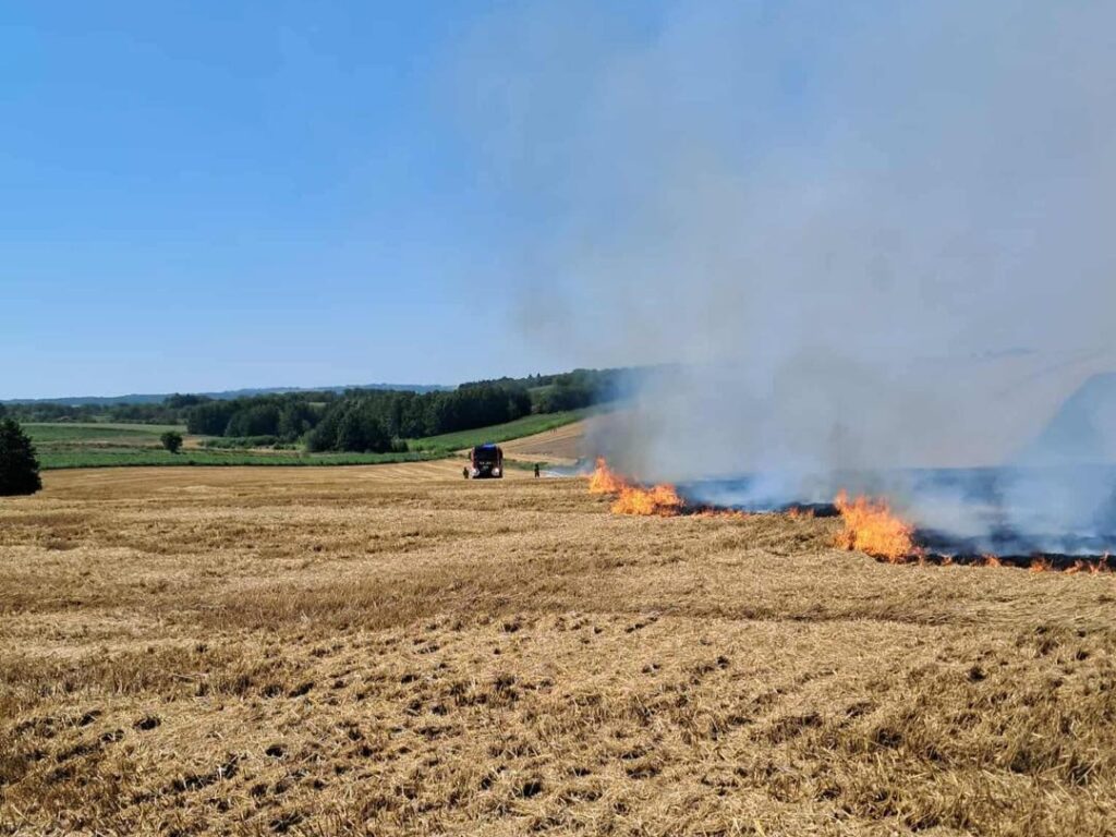 532255016 1078349464408370 7933507078914120938 n1