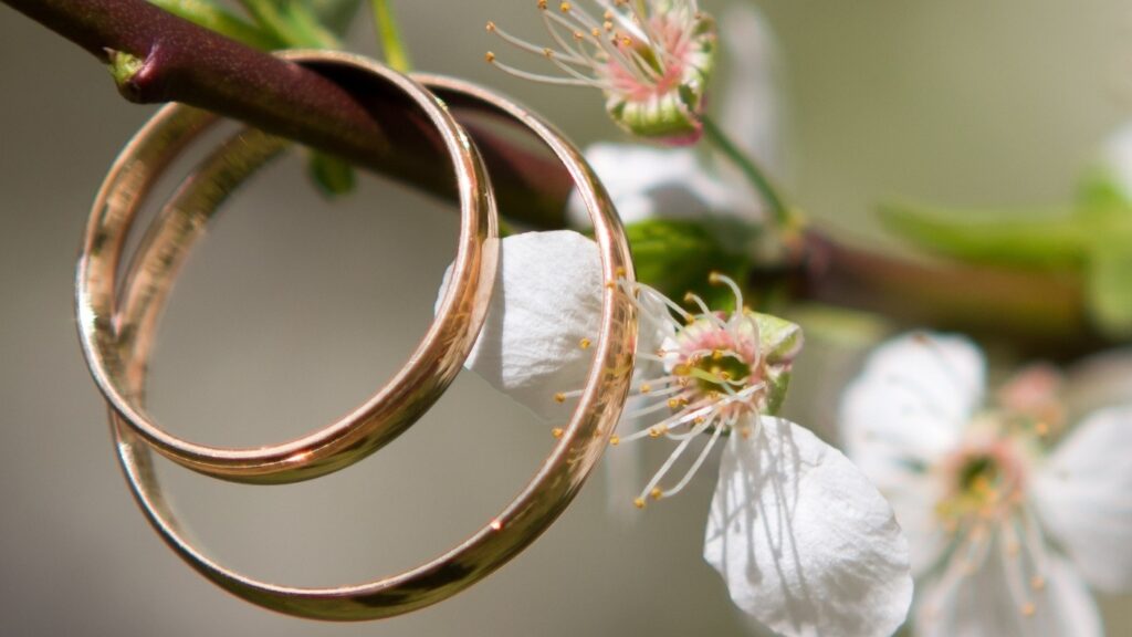 ślub cywilny w jaworniku polskim