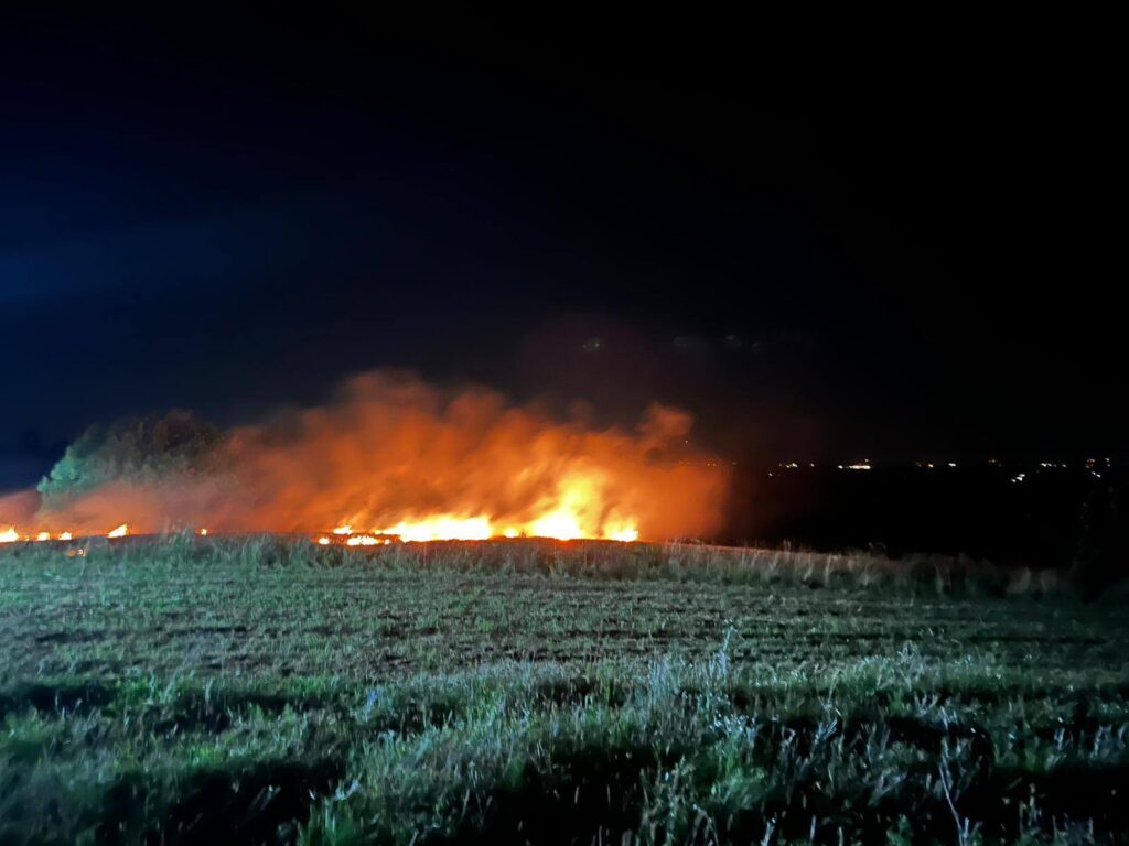 533069706 1198208612348968 6856165545699201233 n