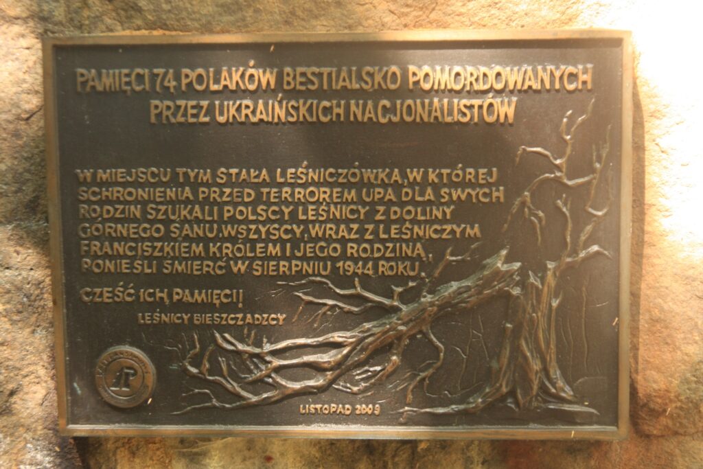 533128174 1187669720056574 8205106470366976407 N