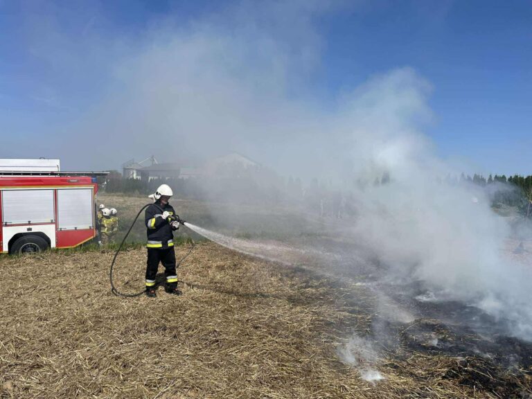 534427284 1171968591634217 3372955984458756371 n