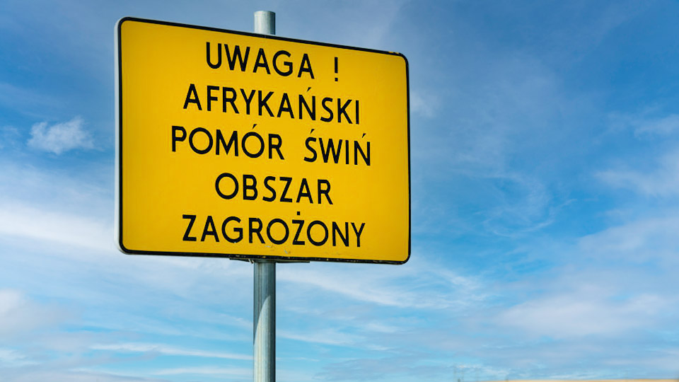 535392492 1074482214866540 1351063518623464768 n