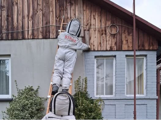 536198603 1084368577143381 9168293924097906065 n1