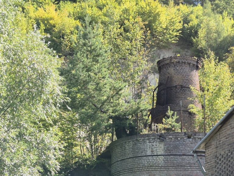 536213615 1340109594503997 5355229694180404279 n1