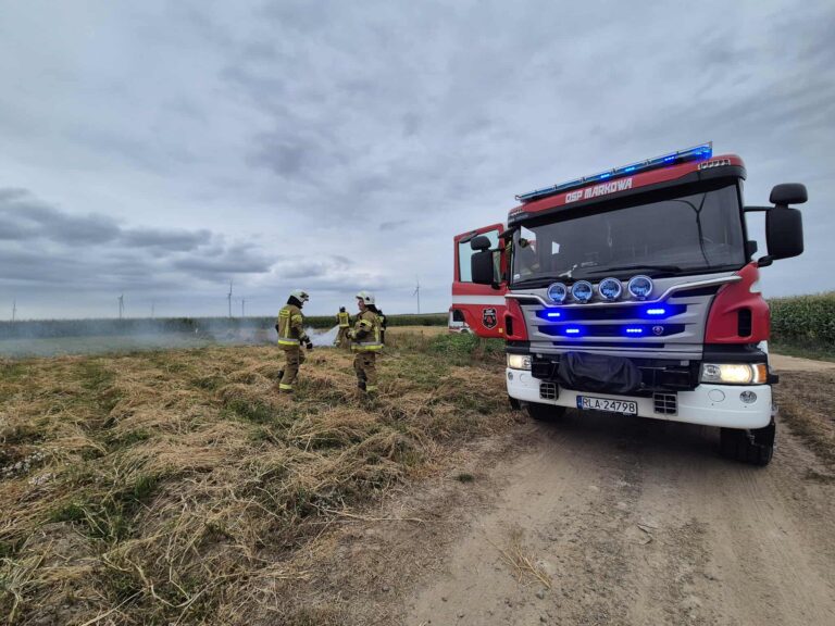 537257040 1175826401248436 7197633324028032043 n