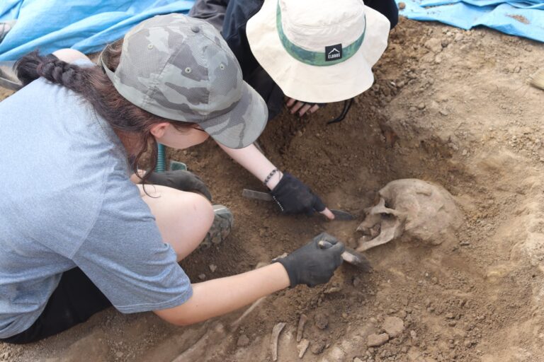 537906740 1341865207661769 2985655937471981992 n