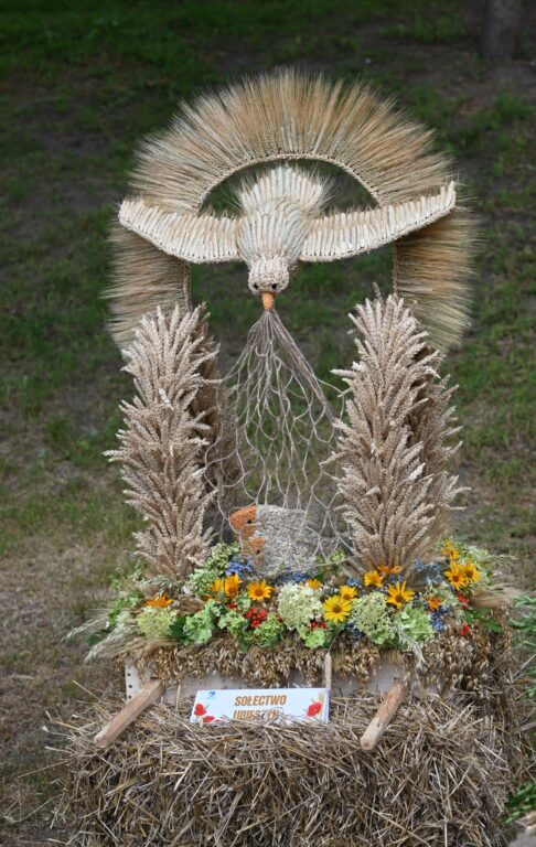 538498912 1161467239347761 2907842639384374959 n