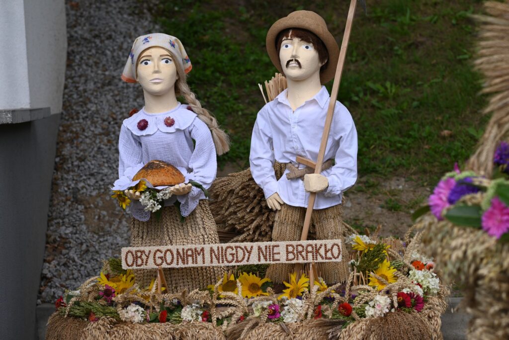 538548334 1161467082681110 8474407561199094352 n