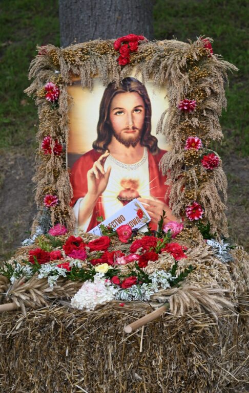 538802215 1161467339347751 8037107496078660796 n