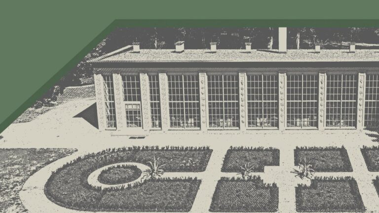 539098244 1339681664832100 295822123940790060 1n