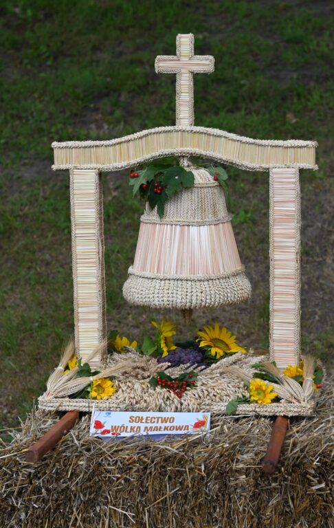 539558605 1161467316014420 2807513415177230315 n