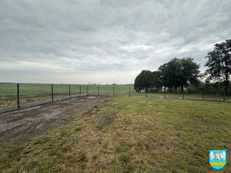 539565614 1160138029495698 3743147547303648282 n