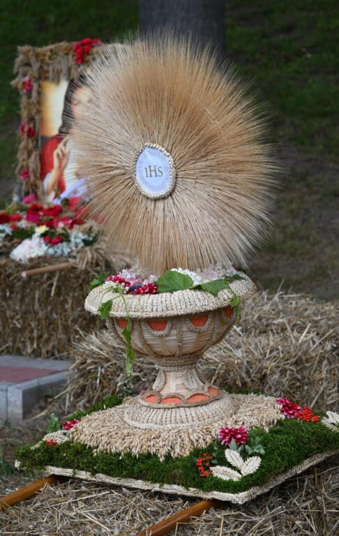 540081007 1161467119347773 2975844092462211035 n