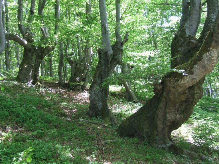 482842204 1061702799319934 3774946744343103029 n