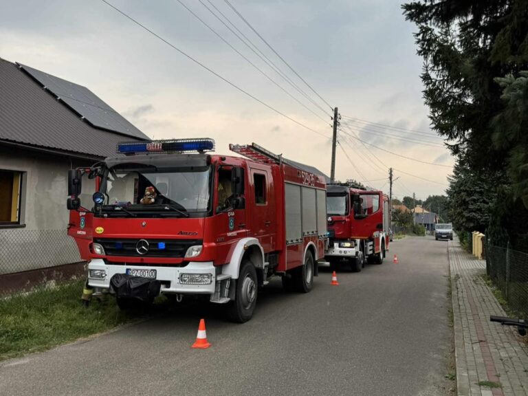 514351228 1096126642630652 524557367662884815 n1