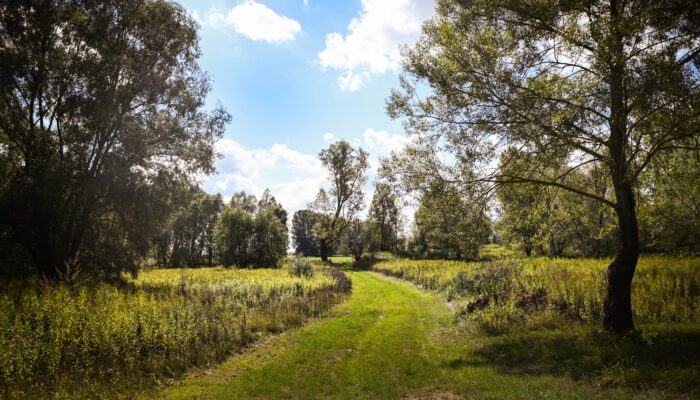 515438780 1180393454121806 3109072523892794193 n