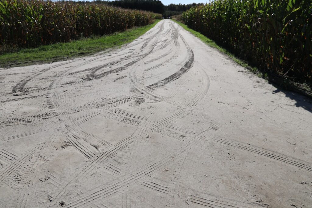 515442020 1186464296848055 691901824542787119 n