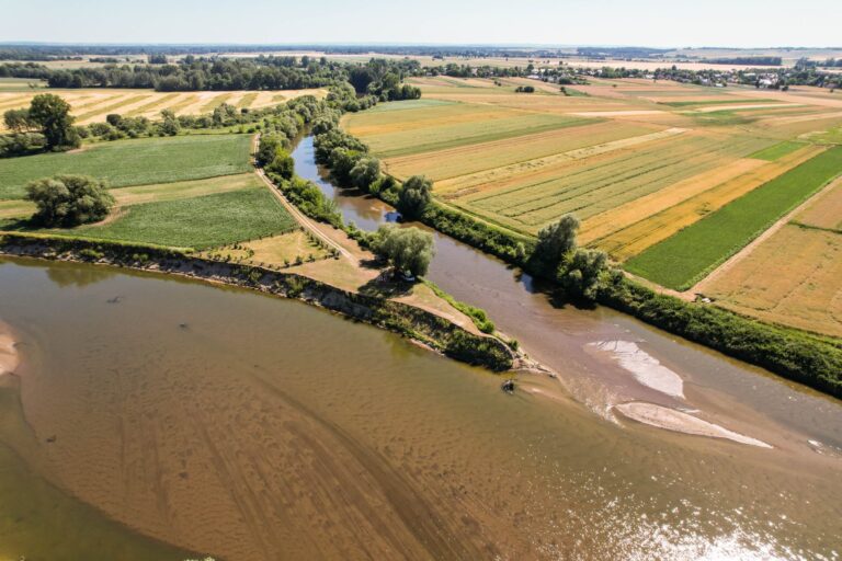 535133495 1180393437455141 6021534547092911276 n