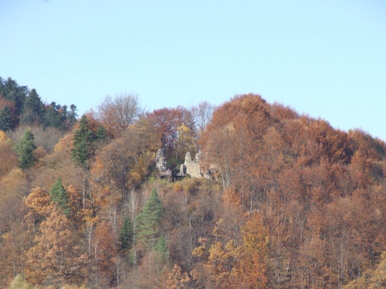 539908460 1200283462128533 8411953542822163105 n