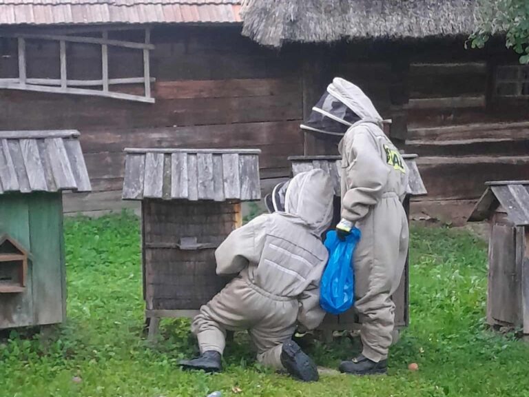 541808597 1185096810321395 3719852385782082291 n1