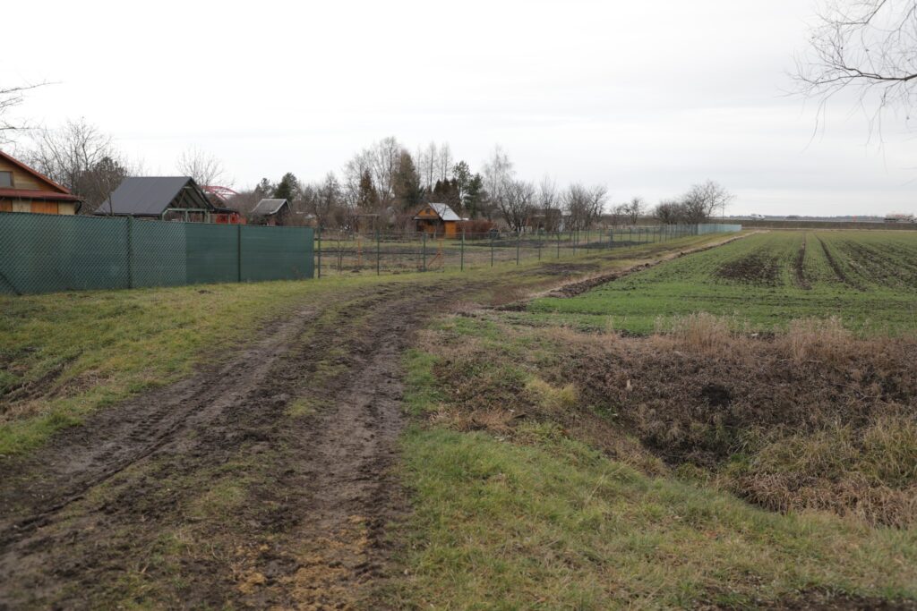 542756865 1186411756860670 3576663162511067249 n