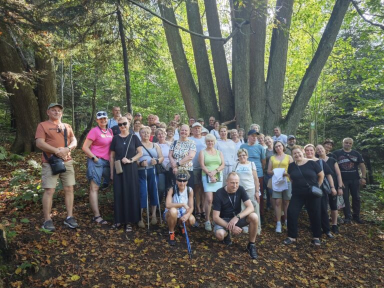 542762070 1207562551397864 1681767426225256967 n