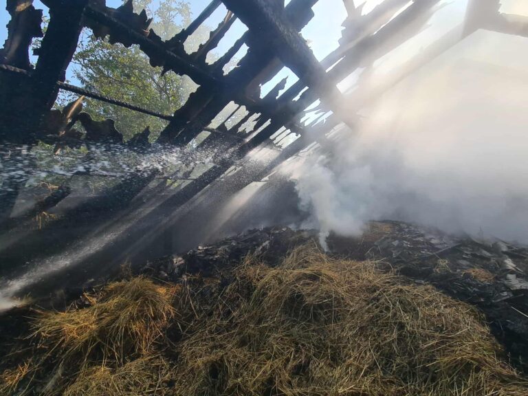 542767651 1204901755012641 9138555844583959631 n