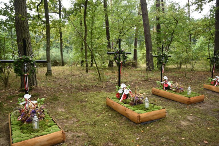 544734417 1080994560879380 3934957581852564838 n