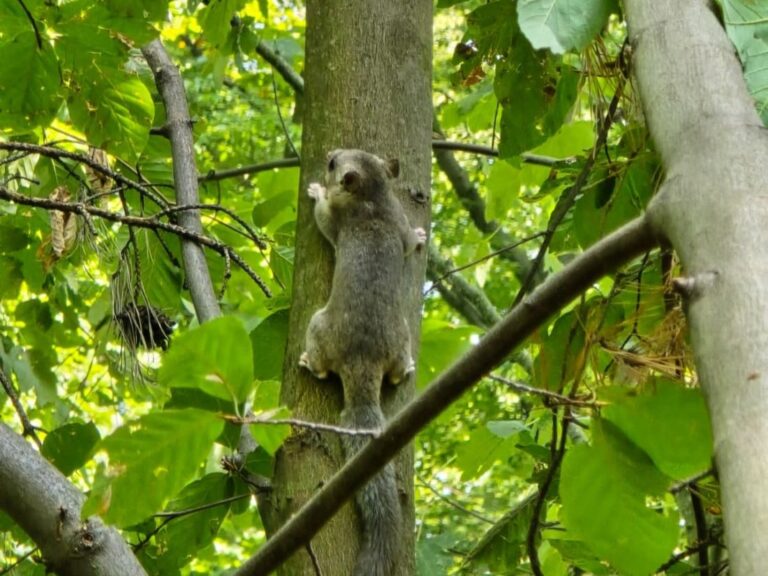 545325559 1203225058514644 9003563489856330224 n1