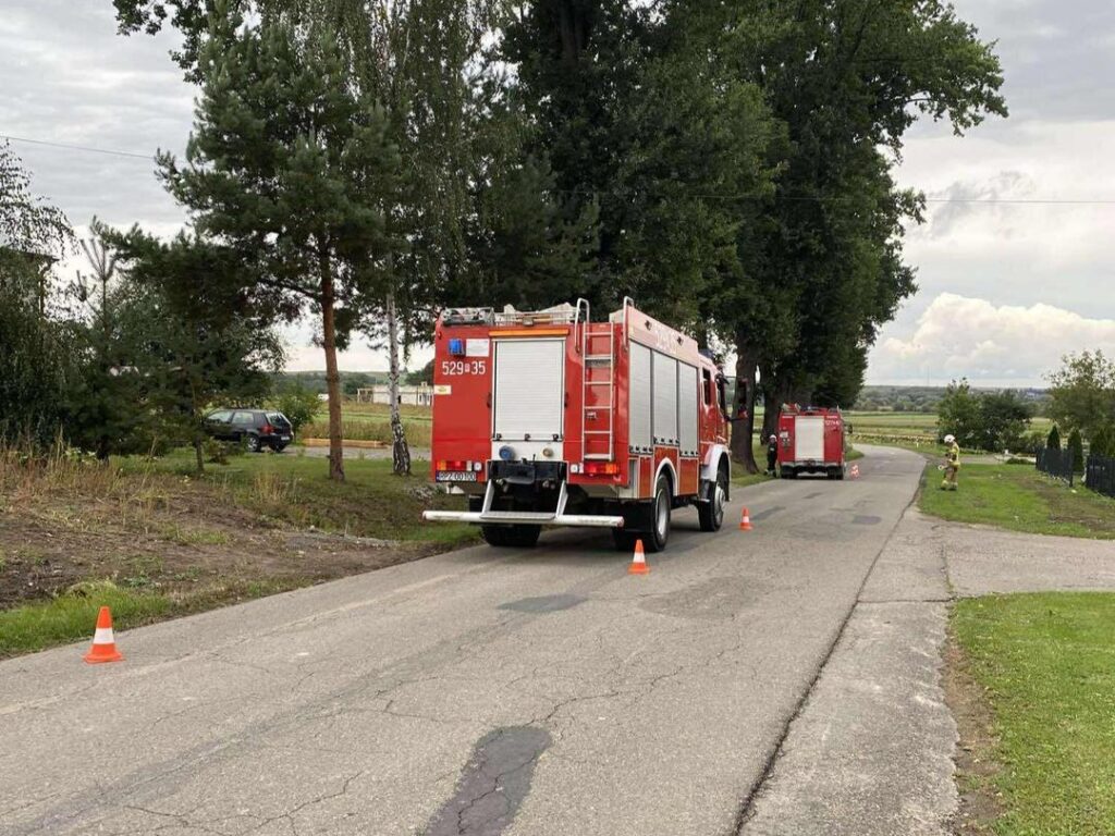 546450029 1105189051724411 1735848275443190442 n1