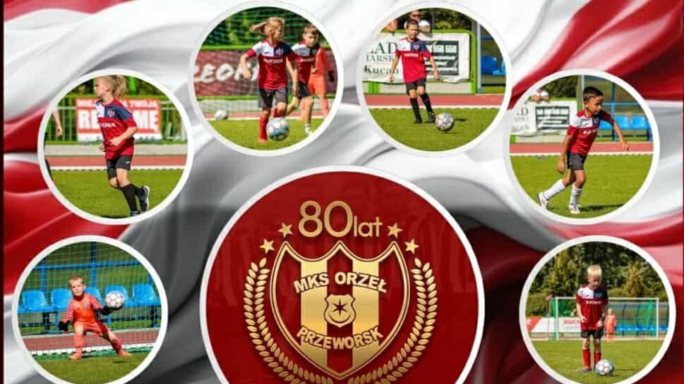 546533383 1287513219837617 6415337142020252895 n