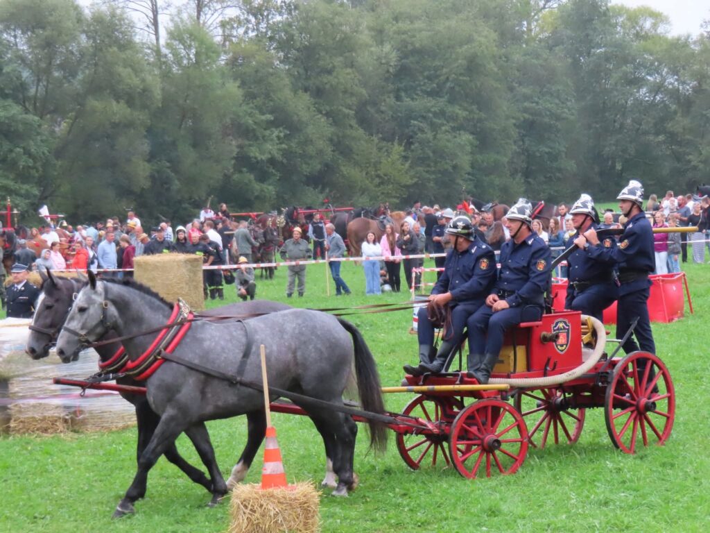 546672370 791322743545209 3519699254154441736 n