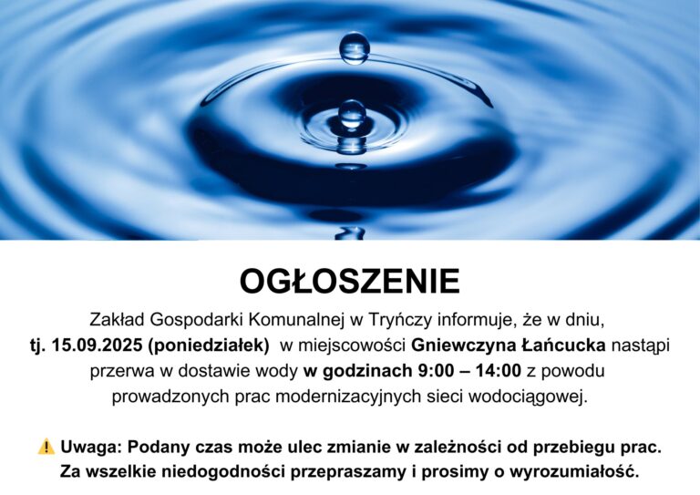 547201212 1177048794456272 4787396606184272298 n