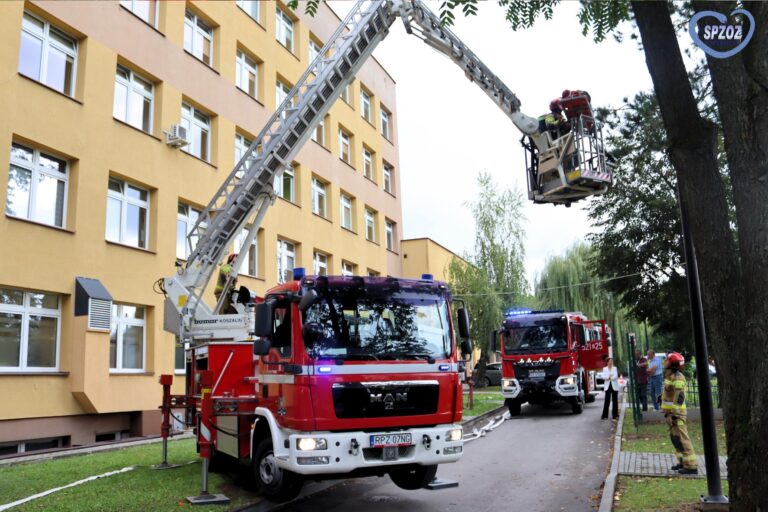 547266127 1230594605536841 9008899673846418004 n