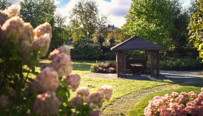 547366436 1180393637455121 7716840201417833720 n