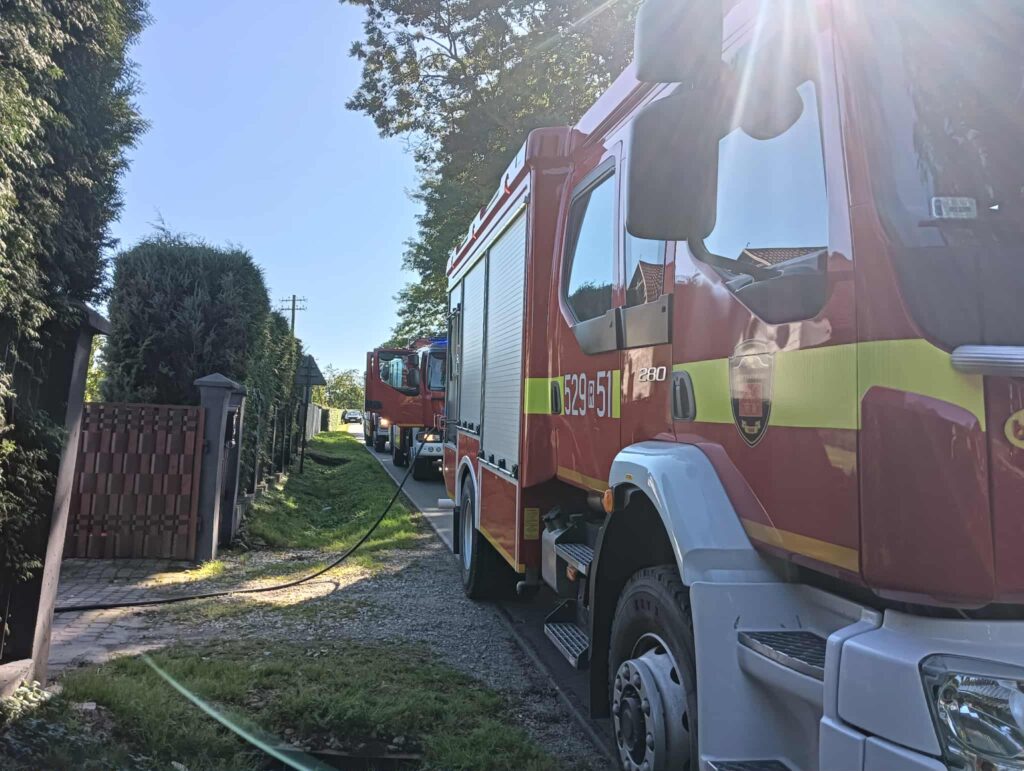 547572868 800640325946784 7078300709474612772 n