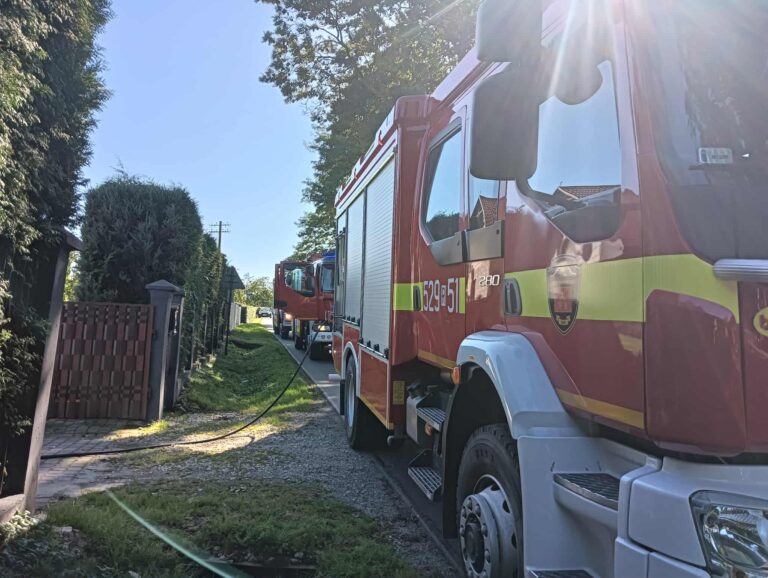 547572868 800640325946784 7078300709474612772 n