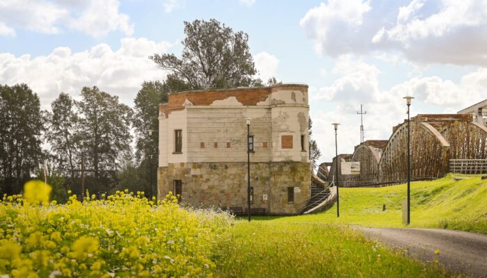 548120424 1180393530788465 3619252824837883470 n