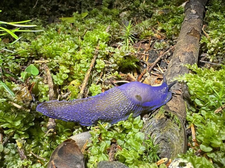 549580830 1218573250299554 4913881282931391471 n1