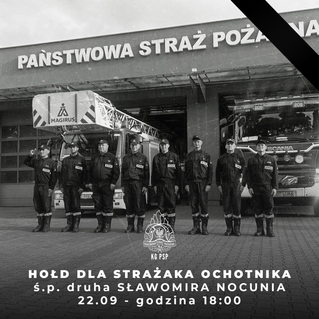 550113907 1107472508237742 2921276502408198909 n